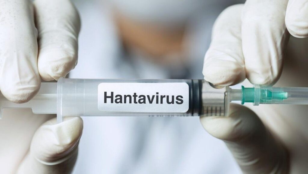 Kemenkes Pastikan Kontak Erat WNA Kasus Hantavirus dalam Kondisi Sehat