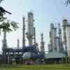 Asing Jual Saham UNIC Rp256 Juta Menjelang Cum Date Dividen