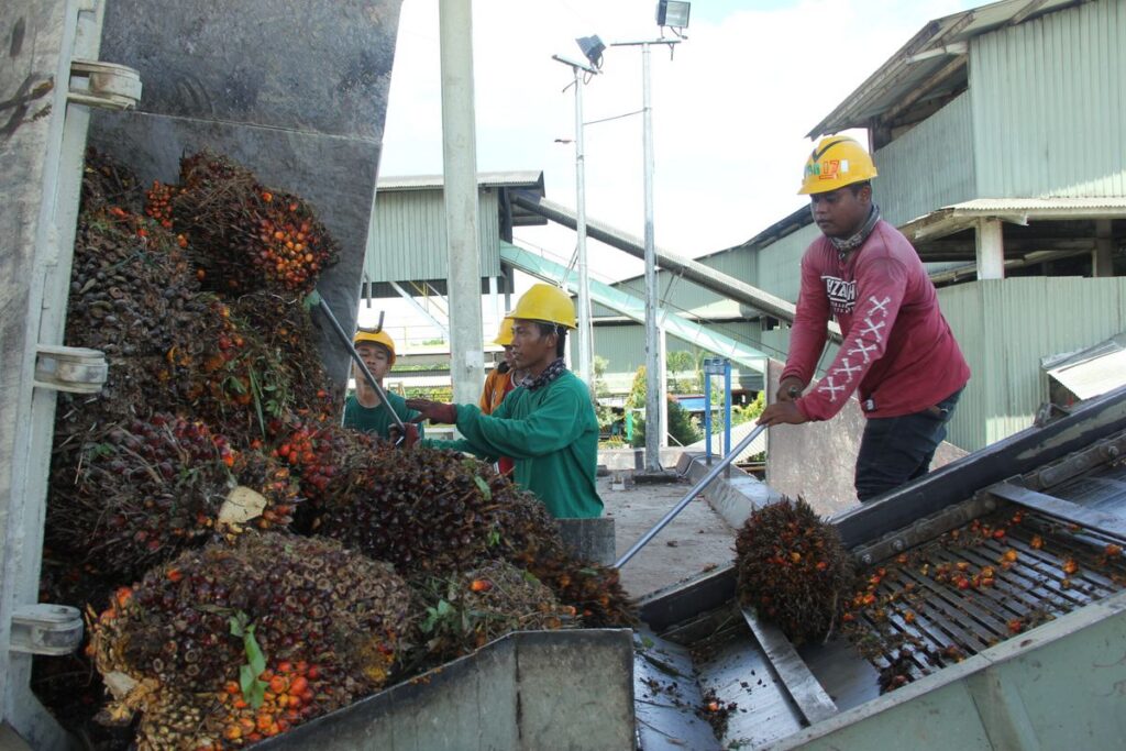 Bursa Malaysia Stagnan Saat Tender CPO KPBN Alami Withdraw
