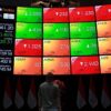 Investor Asing Borong Saham Tambang RI Saat IHSG Melemah