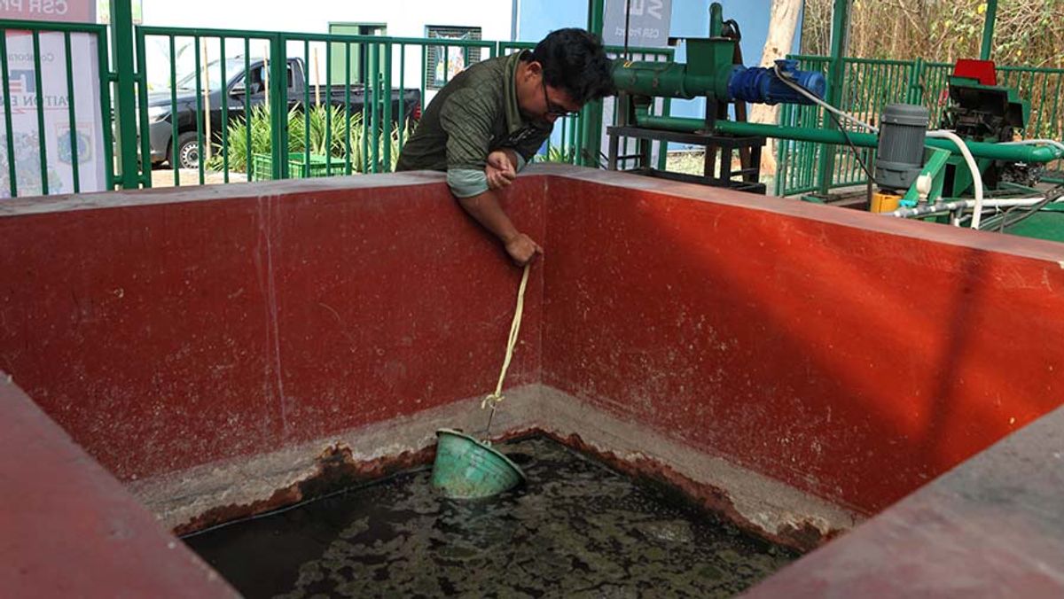 DIM Tetapkan 85 Perusahaan Lulus Seleksi Pembangkit Sampah