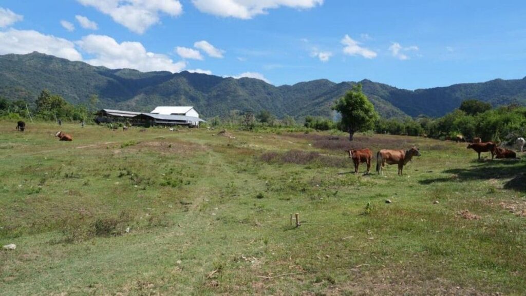 Kementerian PU Tinjau Lokasi Pembangunan Sekolah Rakyat di Bima