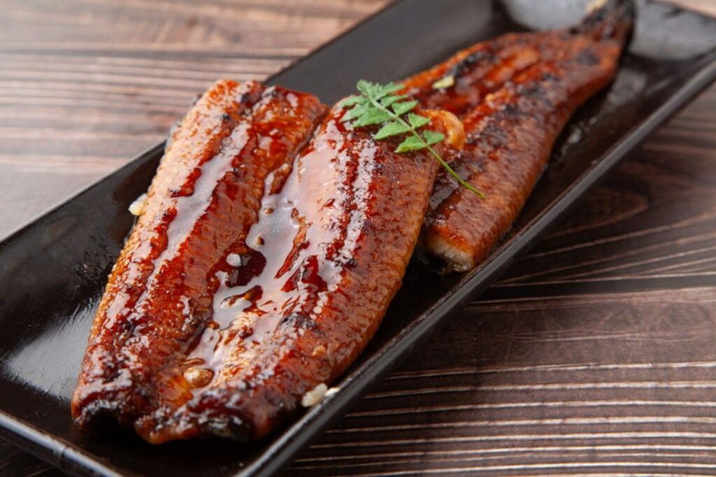 Jepang Budidayakan Ikan Sidat dari Telur untuk Atasi Kelangkaan