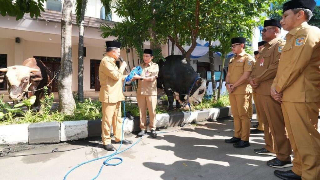 Mendagri Tito Karnavian Serahkan 360 Ekor Hewan Kurban di Jakarta