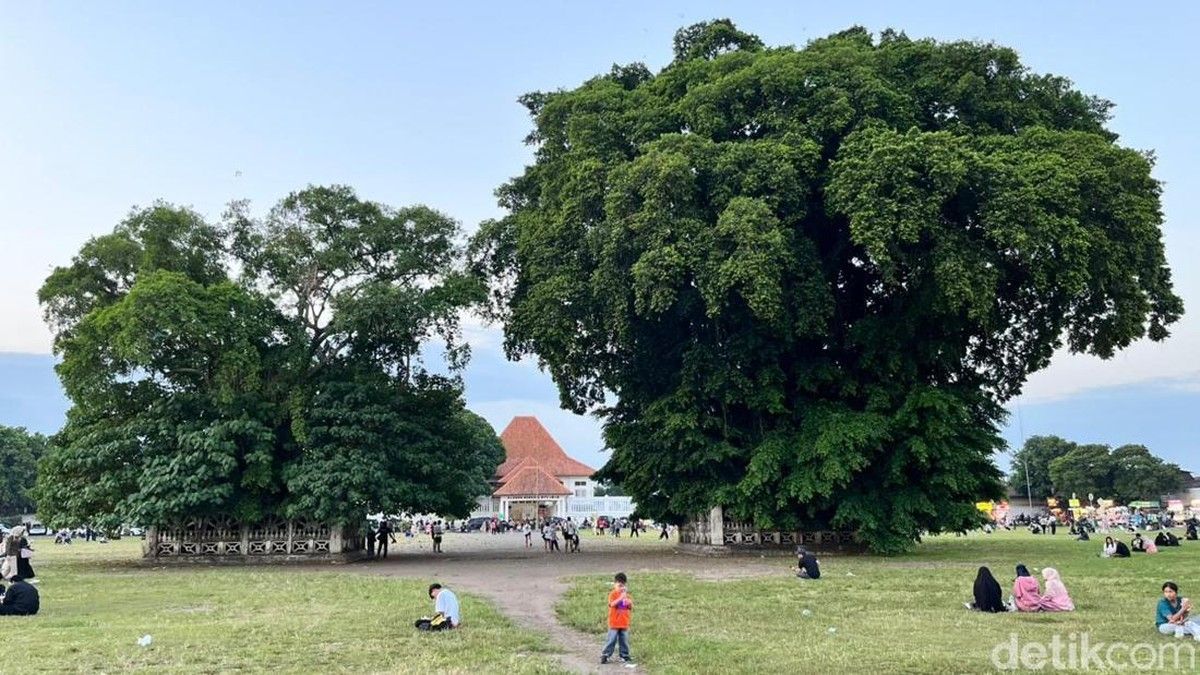 Wisatawan Padati Atraksi Budaya Masangin di Alun-alun Kidul Yogyakarta