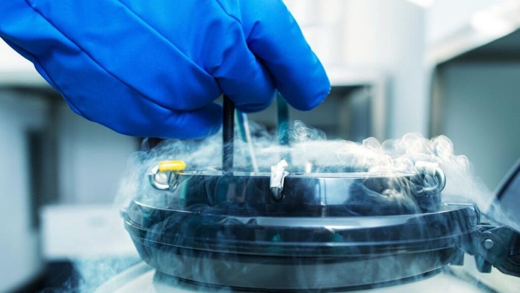 Dokter Ungkap Usia Ideal Perempuan Jalani Prosedur Egg Freezing