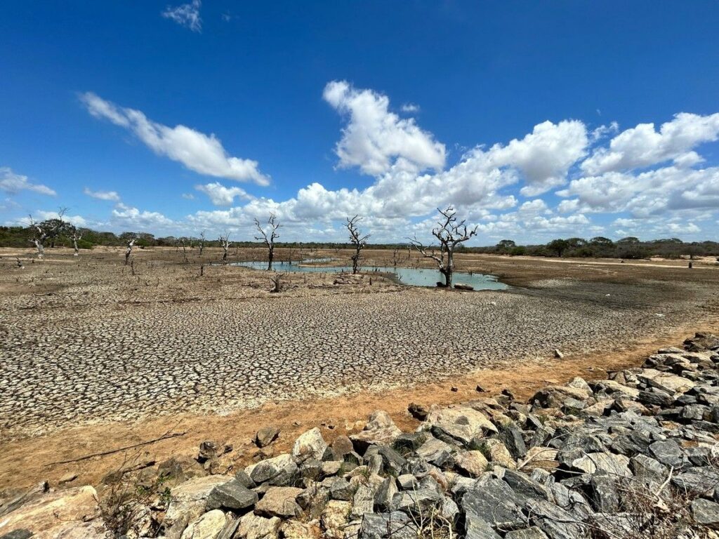 Anomali El Nino Sangat Kuat Berpotensi Kembali Melanda Dunia pada Juli 2026