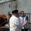 Rano Karno Serahkan Sapi Kurban Satu Ton di Kebayoran Baru