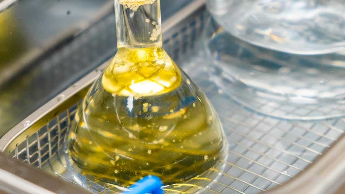 Pemerintah Berlakukan Mandatori Bioetanol E5 Bersamaan dengan B50