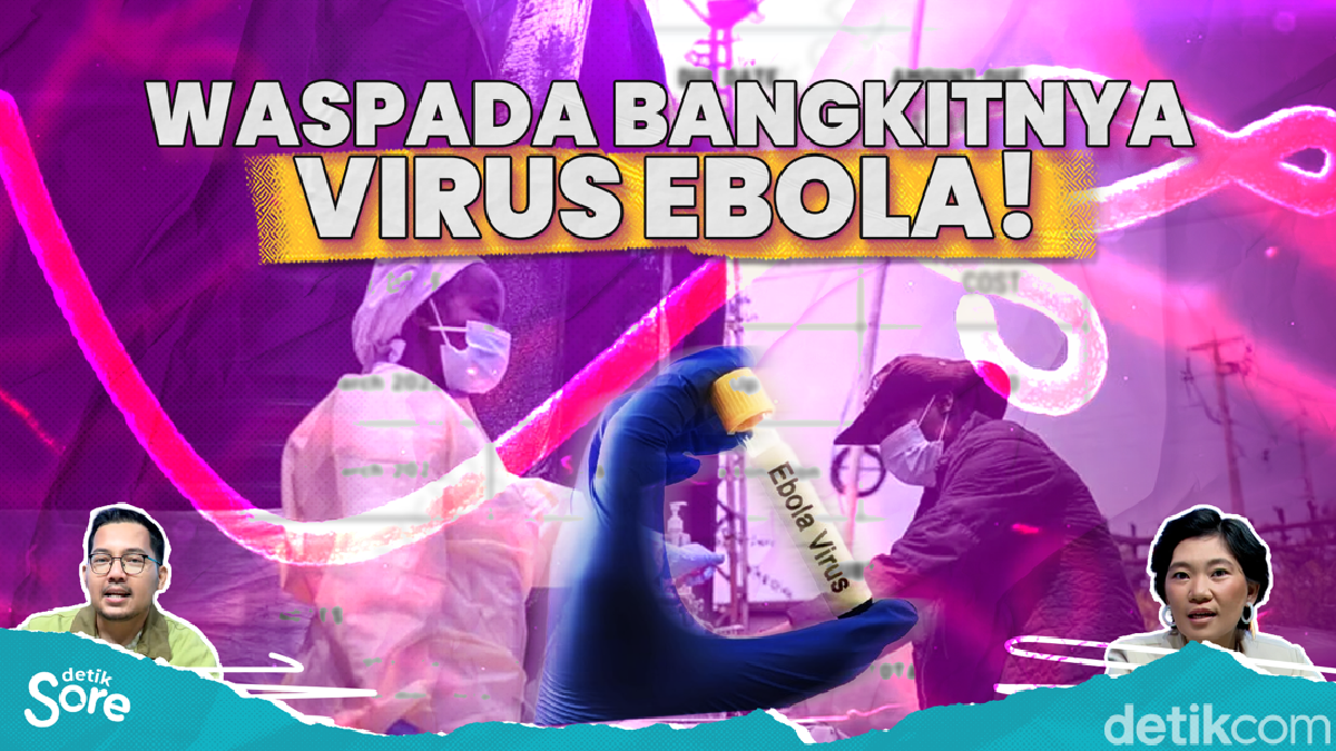 WHO Tetapkan Status Bahaya Kembalikan Virus Ebola dan Hanta
