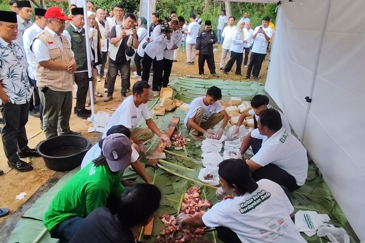 Baznas Berdayakan Peternak Kuningan Lewat Program Kurban Berkah 2026
