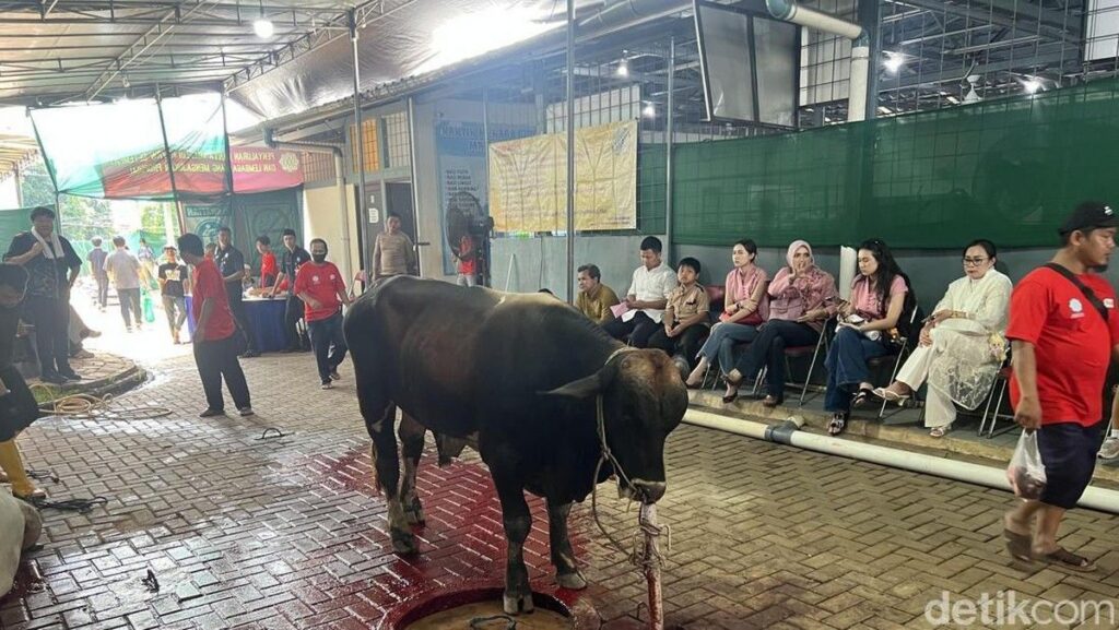 Masjid Raya Pondok Indah Salurkan 45 Hewan Kurban ke Warga