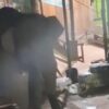 Dua Gajah Liar Masuk Pasar Jukung OKI Terekam Kamera