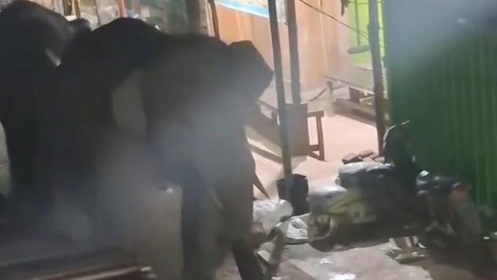 Dua Gajah Liar Masuk Pasar Jukung OKI Terekam Kamera