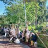 Warga Krajan Banjarnegara Kurbankan Ratusan Sapi dan Kambing