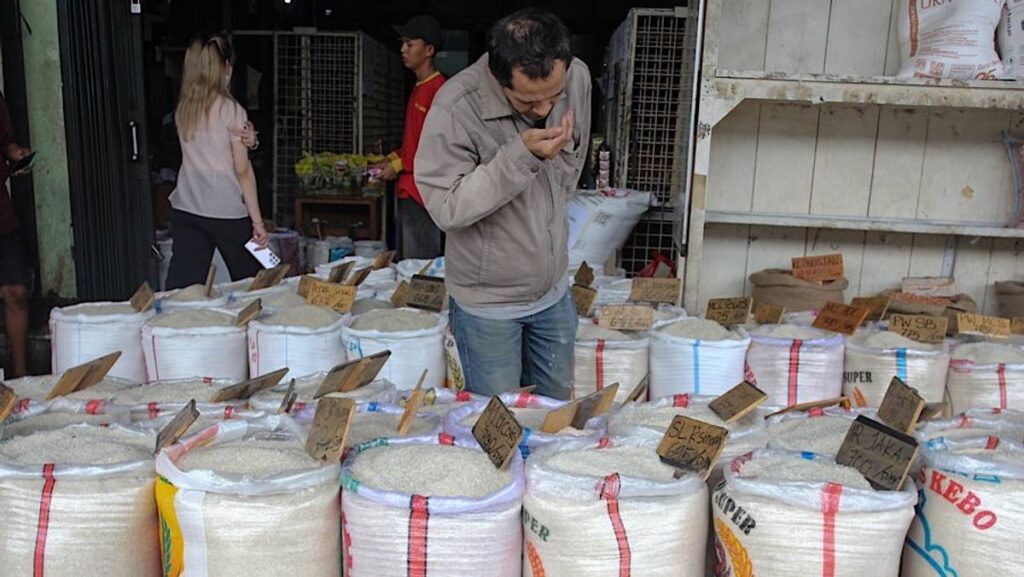 Kementan Pastikan Stok Beras Aman Hadapi El Nino