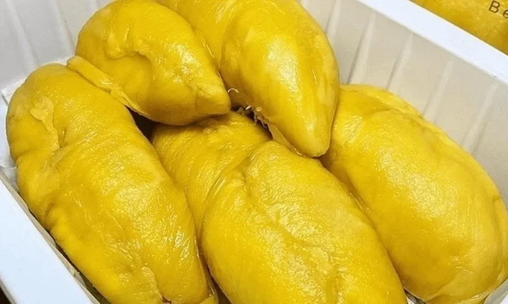 TasteAtlas Masukkan Durian Musang King ke Daftar Buah Terburuk