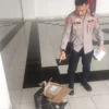 Polda Jabar Sita Ratusan Barang Berbahaya Jelang Laga Persib