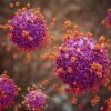 Kemenkes RI Siapkan Mitigasi Hadapi Ancaman Virus Ebola