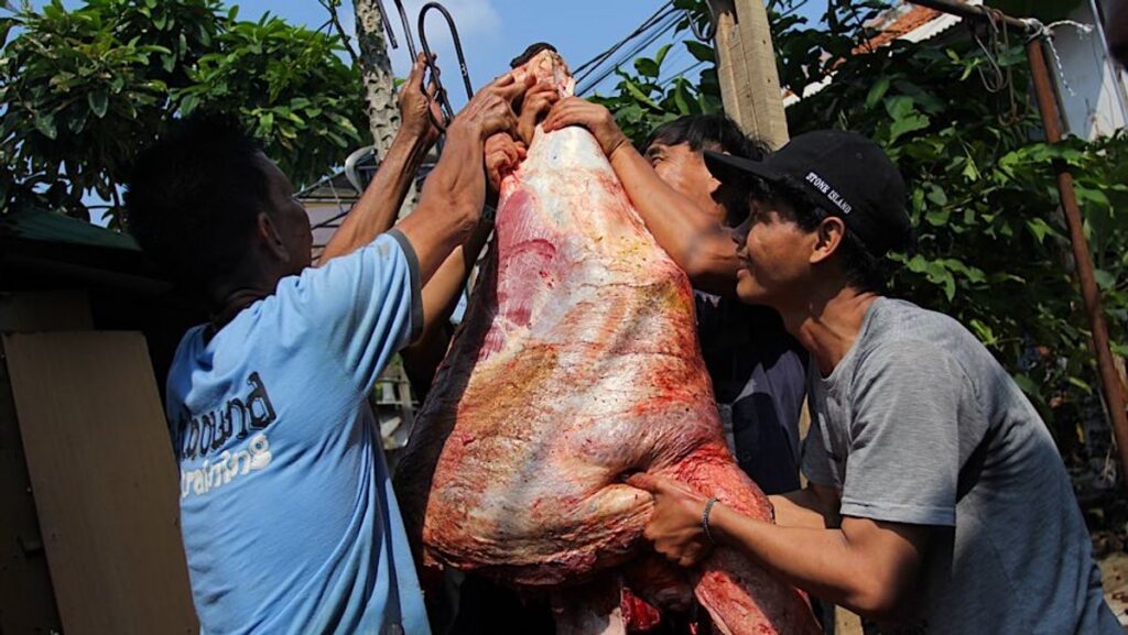 Kemenkes Terbitkan Panduan Olah Daging Kurban Aman
