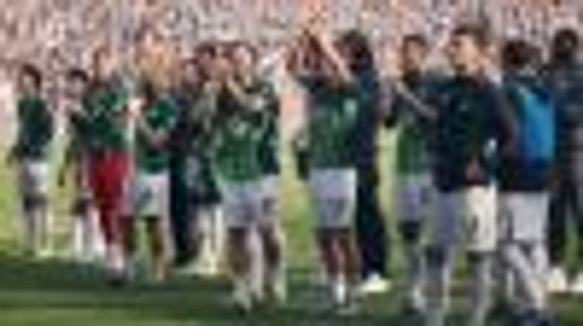 VfL Wolfsburg Jamu SC Paderborn dalam Laga Play-off Bundesliga