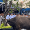 Menteri Keuangan Purbaya Yudhi Sadewa Serahkan Sapi Kurban Pribadi
