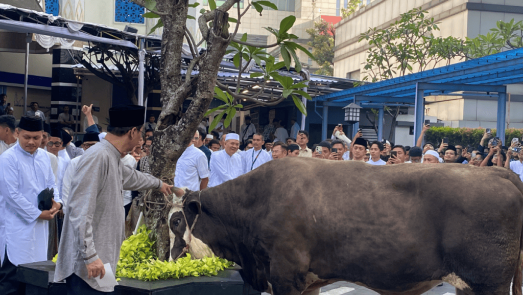 Menteri Keuangan Purbaya Yudhi Sadewa Serahkan Sapi Kurban Pribadi