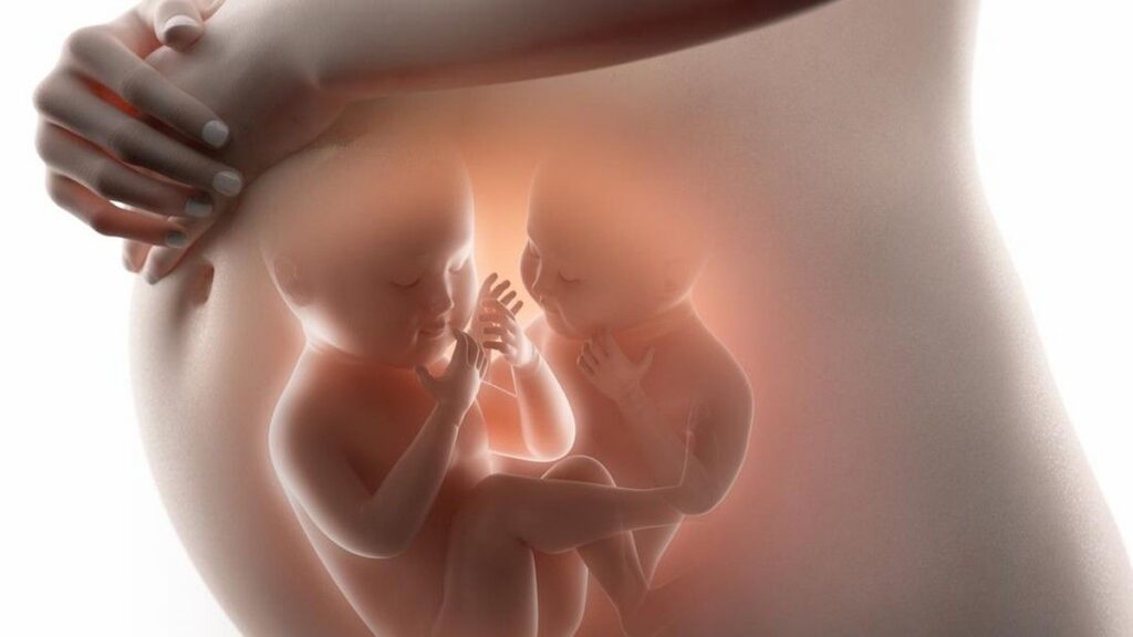 Mengenal Risiko Discordant Twin Growth pada Kehamilan Kembar