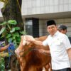 Menteri Kebudayaan Fadli Zon Menyerahkan 23 Ekor Sapi Kurban