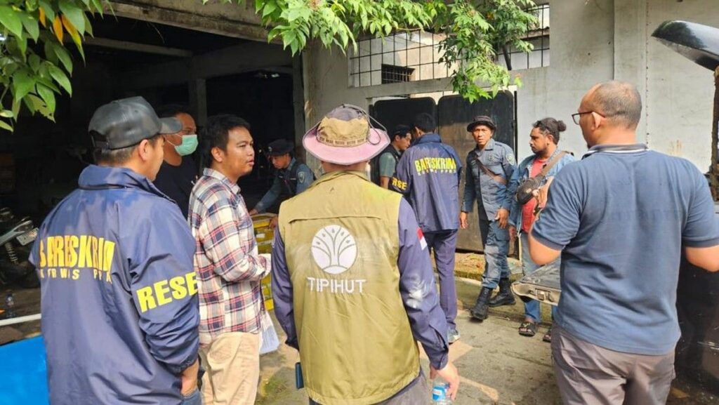 Bareskrim Polri dan Kemenhut Sita 11 Sanca Hijau Papua di Bekasi