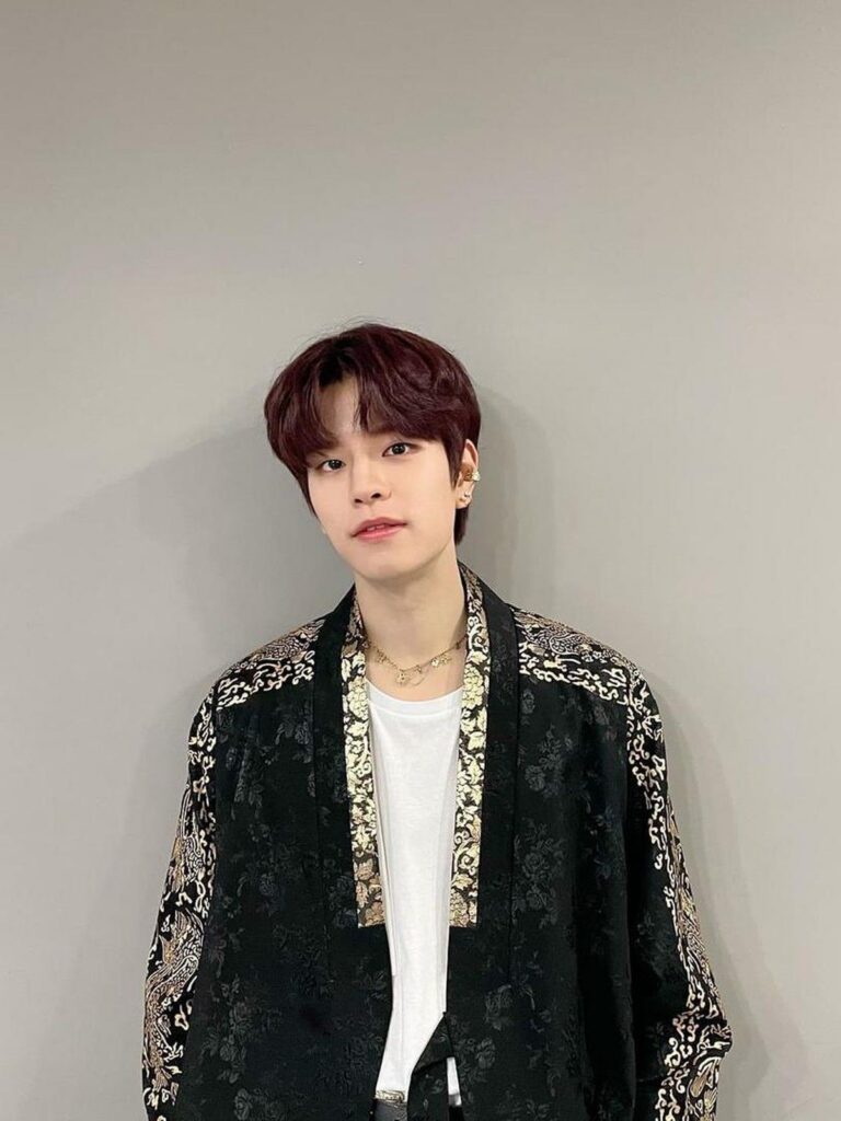 Seungmin Stray Kids Batal Tampil di The Governors Ball Akibat Cedera