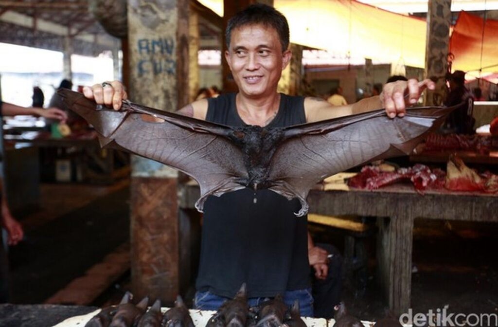 6 Kuliner Paling Ekstrem dan Aneh di Benua Asia