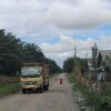 Koreksi CPO Global Pangkas Harga TBS Plasma di Tiga Provinsi Sumatra