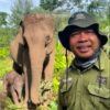 Gajah Sumatera Lahir di Taman Nasional Tesso Nilo Riau