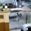 Polisi Selidiki Percobaan Penculikan Lansia di Pantai Indah Kapuk