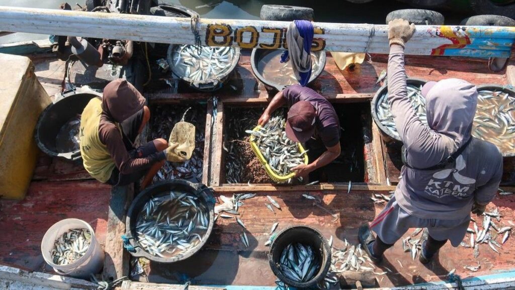 Krisis Iklim Ancam Hasil Tangkapan Ikan Global dan Ketahanan Pangan
