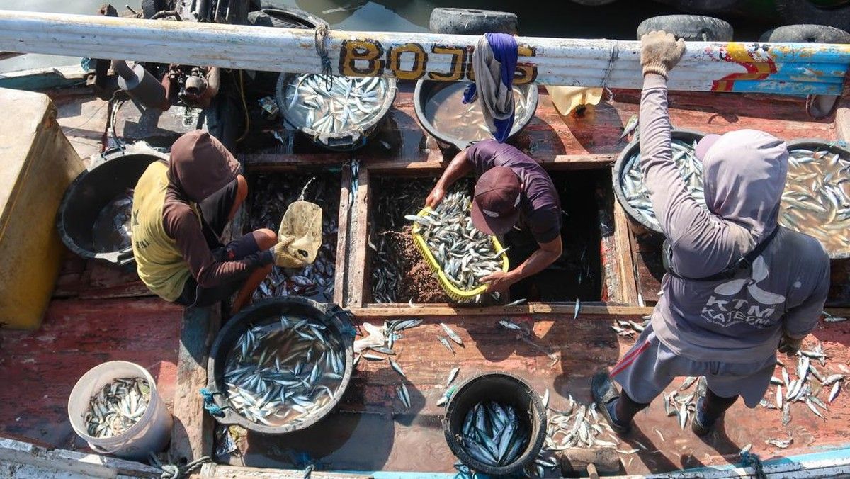Krisis Iklim Ancam Hasil Tangkapan Ikan Global dan Ketahanan Pangan