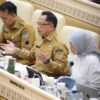 Mendagri Tolak Opsi PHK Massal Tenaga Honorer dan PPPK