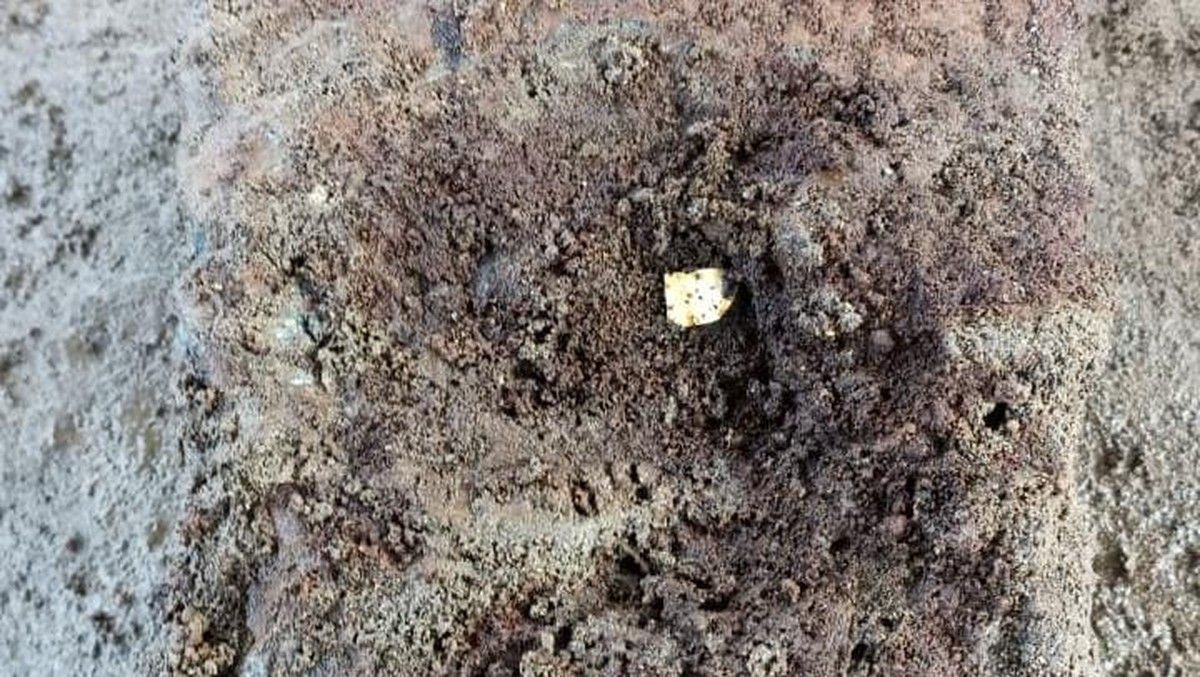 Pekerja Temukan Lembaran Diduga Emas di Candi Losari Magelang