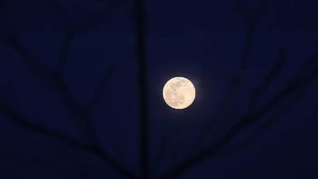 Strawberry Moon 2026 Mencapai Puncak Pencahayaan di Langit Global