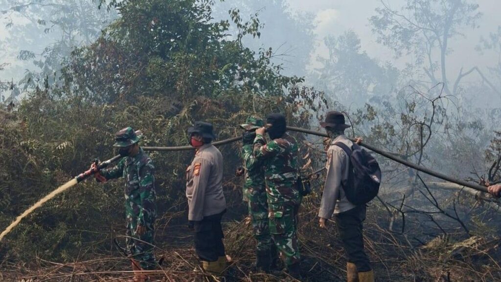 Tim Gabungan Padamkan Kebakaran Lahan Hutan Akasia di Rupat Bengkalis