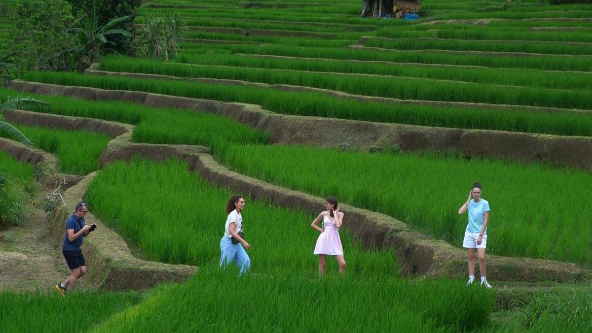 Konflik Timur Tengah Mengubah Dominasi Kunjungan Wisatawan di Jatiluwih Bali