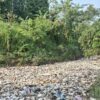 Sampah Rumah Tangga Menumpuk di Sungai Cibanten Kasemen Serang