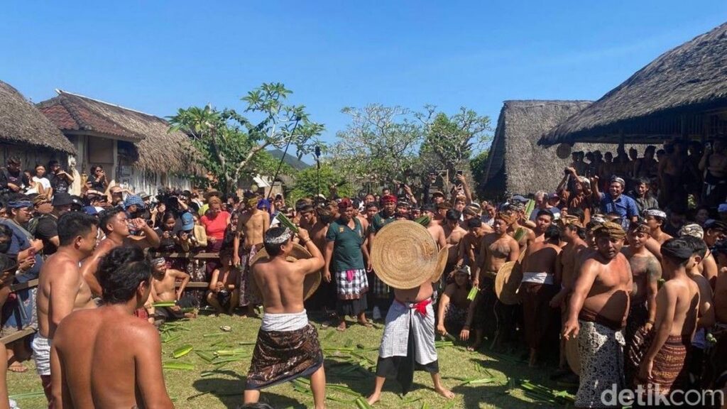 Tradisi Perang Pandan Desa Tenganan Pegringsingan Pikat Wisatawan