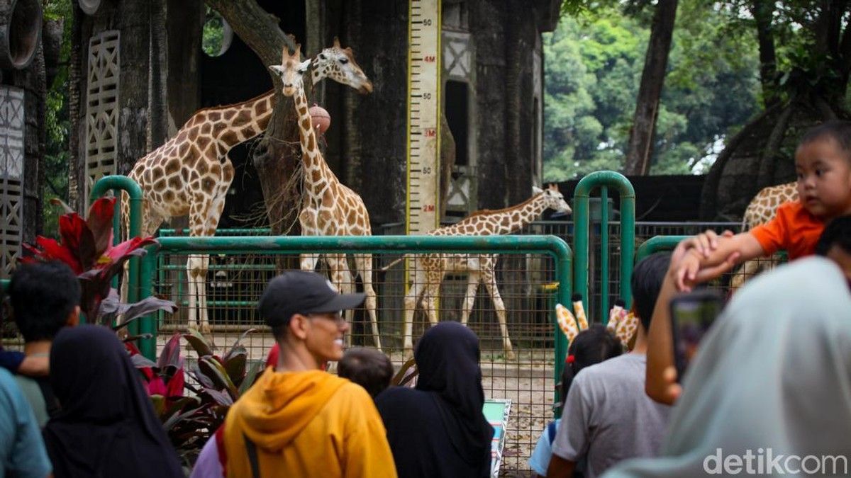 Pemprov DKI Jakarta Sediakan Tempat Wisata Gratis Selama Libur Sekolah