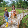 Sinar Mas Land Bangun Destinasi Dairyland at Hiera BSD Akhir 2028