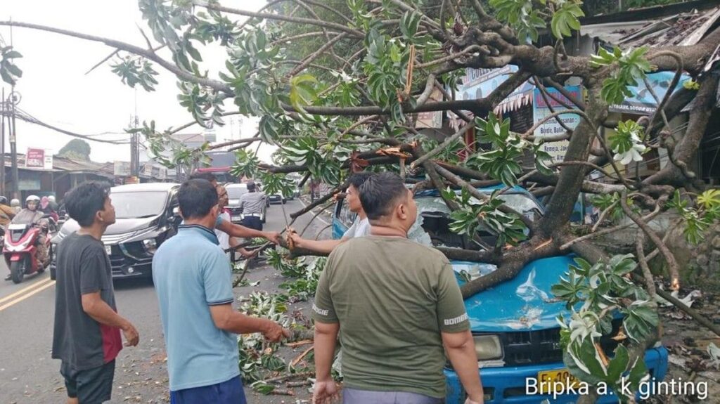 Pohon Tumbang Timpa Kios dan Angkot di Kota Bogor
