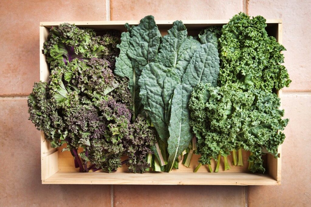 Kenali 6 Sayuran Berdaun Padat Nutrisi untuk Menu Harian Anda