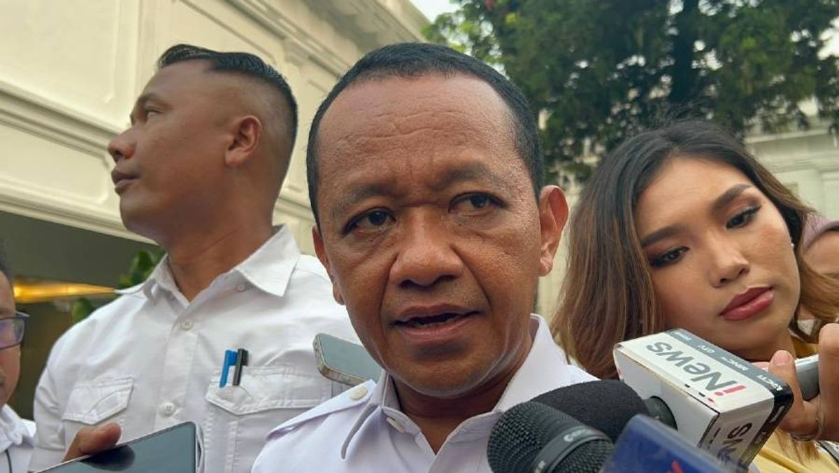 Pemerintah Evaluasi Hilirisasi dan Tuntaskan Masalah Batubara PLN