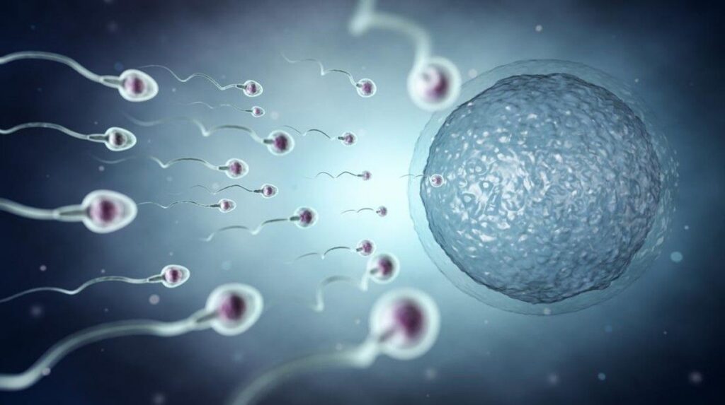 Peneliti Kembangkan Sperma Bermagnet untuk Bantu Pembuahan IVF